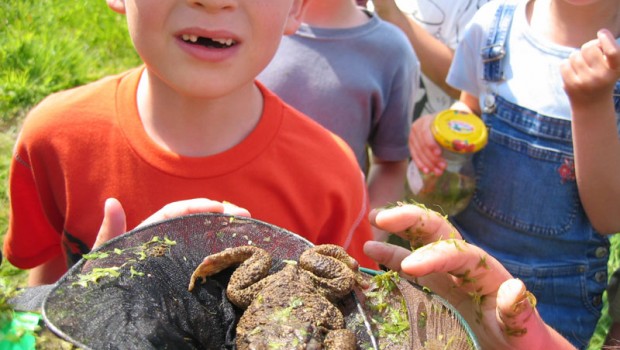 Sortie école à Villevêque : les enfants découvrent les trésors de la mare.