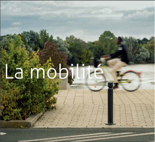 Un vélo roule dans un parc entouré de haies