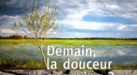 Voici les derniers rapports annuels validés par l’assemblée générale de la Sauvegarde de l’Anjou devenue France Nature Environnement Anjou.