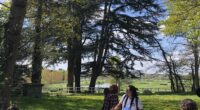 Mercredi 19 avril dernier, notre association FNE Anjou organisait une balade à la découverte des arbres dans le Parc départemental de l’Isle Briand au Lion d’Angers. Cette animation, organisée dans […]