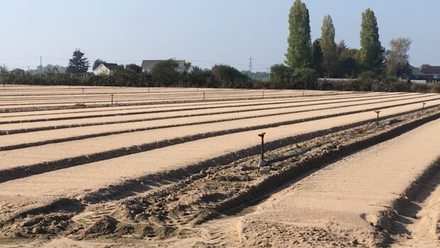 Le métam-sodium, pesticide aux effets irritants et corrosifs pour la peau, les voies respiratoires et les yeux a provoqué 3 incidents intoxiquant 70 personnes entre septembre et octobre 2018 dans […]