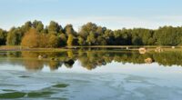 L’espace naturel du Boudré, à Seiches-sur-le-Loir, a été l’objet de beaucoup d’attention ces dernières années, en raison notamment d’un projet de vente par le Conseil Départemental. L’abandon du projet s’accompagne […]