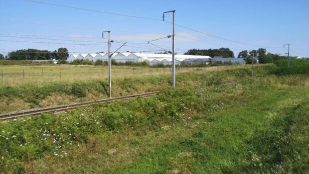 Au printemps 2019, SNCF Réseau a commandité des travaux d’entretien « lourds » des bords de voie ferrée entre Angers et Le Mans, aboutissant à la destruction de près de 6 ha […]