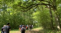 Angers Loire Métropole a engagé depuis 2019, un inventaire participatif des arbres remarquables sur son territoire. L’opération, menée sur 3 ans, vise à recenser les arbres remarquables de l’agglomération en […]