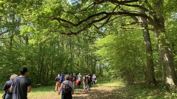 Angers Loire Métropole a engagé depuis 2019, un inventaire participatif des arbres remarquables sur son territoire. L’opération, menée sur 3 ans, vise à recenser les arbres remarquables de l’agglomération en […]