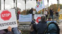 Le vendredi 10 novembre 2023, FNE Anjou et 16 autres signataires ont lancé un appel à manifester contre la réautorisation du glyphosate en Europe, dont le vote de la Commission […]