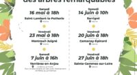 Depuis 3 ans déjà, FNE Anjou accompagne Angers Loire Métropole dans l’inventaire des arbres remarquables de l’agglomération. Cette démarche participative, démarrée en 2022, vise à inventorier les arbres remarquables du […]
