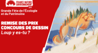 À l’occasion de ses 60 ans, FNE Anjou a organisé un concours de dessin destiné aux enfants de 6 à 15 ans du Maine-et-Loire. Le thème : « Loup y […]
