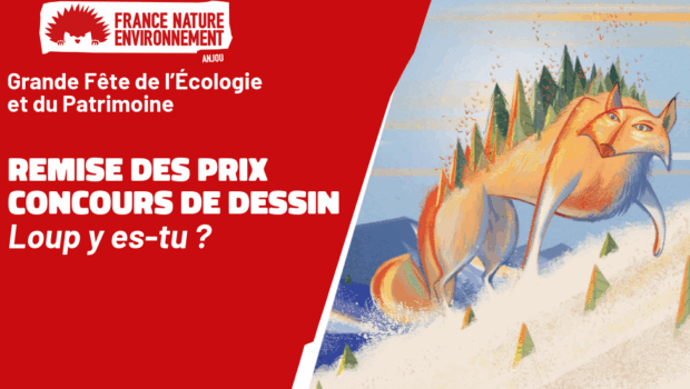 À l’occasion de ses 60 ans, FNE Anjou a organisé un concours de dessin destiné aux enfants de 6 à 15 ans du Maine-et-Loire. Le thème : « Loup y […]