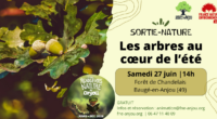 Dans le cadre des Rendez-vous nature en Anjou 2026, FNE Anjou propose 4 sorties pour partir à la rencontre des arbres des espaces naturels sensibles sensibles au cours des saisons [&hellip;]