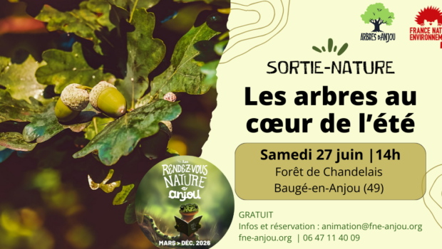 Dans le cadre des Rendez-vous nature en Anjou 2026, FNE Anjou propose 4 sorties pour partir à la rencontre des arbres des espaces naturels sensibles sensibles au cours des saisons [&hellip;]