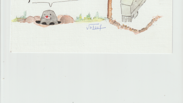 Découvrez ci-dessous la lettre d’information annuelle de FNE Anjou, qui dresse le bilan de l’année 2025 et présente les principaux dossiers suivis par la fédération. Au menu :