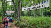SOS Verrières Vivant, association membre de FNE Anjou, organise le samedi 14 juin 2026 la Rand&rsquo;Océane, une randonnée pédestre pour faire découvrir ce territoire menacé par l&rsquo;extension d&rsquo;une ZAC. Venez [&hellip;]